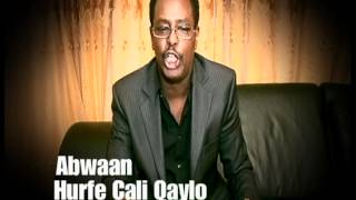 Gabay Dardaaranka siyaasi Soomaali ah by Hurfe Cali Qaylo [upl. by Bronwen]