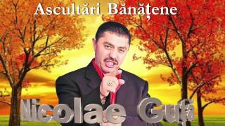 NICOLAE GUTA  COLAJ BANATENE [upl. by Teague905]