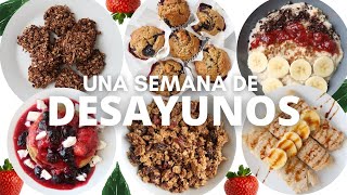 7 Desayunos Saludables con Avena [upl. by Ecnal118]