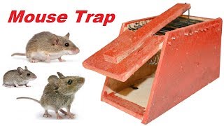 DIY Simple Rat Trap from Wooden  How To Catch A Mouse  Simple Mouse Trap That Work 100  Easy Way [upl. by Buchheim288]