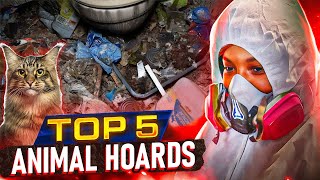 These Are the Worst ANIMAL HOARDS We Have Seen [upl. by Emor]