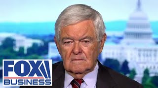 Every American should be worried about this deliberate political effort Gingrich warns [upl. by Amice213]