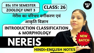 Introduction Classification Morphology of NEREISAnnelida to ArthopodaBSc 5th Semester ZOOLOGY [upl. by Shiff]