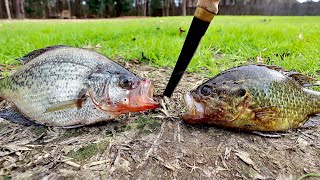 SURPRISING Warmouth vs Crappie Taste Test Catch and Cook [upl. by Yedok]