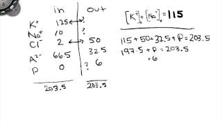 Solving An Eqilibrium Problem [upl. by Bridgette932]