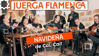 🔥 Villancicos Flamencos JUERGA Navideña en Cai🧑‍🎄🎸 [upl. by Adnoek]