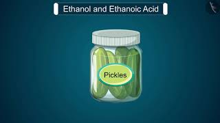 Ethanol and Ethanoic Acid  Part 11  English  Class 10 [upl. by Chee]