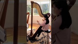 Carolans Concerto Harp [upl. by Enawyd398]