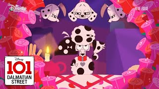 Warding Off The Portia Clip  Crushed Out  101 Dalmatian Street [upl. by Lune]