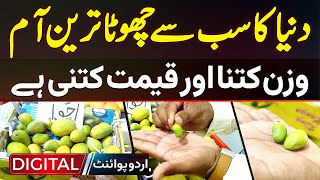 Smallest Mango In The World  How Much Is The Weight And Price  Worlds Smallest Mango In Pakistan [upl. by Houston]