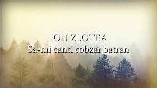 Ion Zlotea  Sami canti cobzar batran lyrics versuri karaoke [upl. by Aihsenor850]