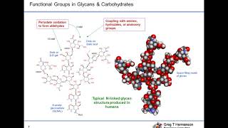 Addressing the Challenges of Bioconjugation for Improved Crosslinking and Modification [upl. by Tillman]