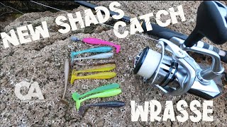 New Shads Catch Wrasse  Featuring Rooneys Shads [upl. by Karel490]