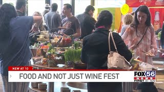 Kalahari Resort hosts first annual Food and Not Wine Festival [upl. by Eresed]