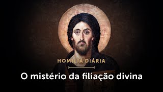 Homilia Diária  “Nem sequer se manifestou o que seremos” Memória do Santíssimo Nome de Jesus [upl. by Nyliuqcaj]