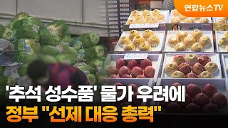 추석 성수품 물가 우려에…정부 quot선제 대응 총력quot  연합뉴스TV YonhapnewsTV [upl. by Anatole]