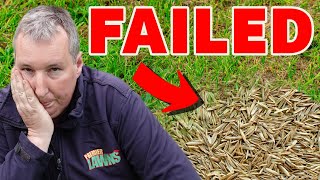 The BIGGEST mistake you can make overseeding your lawn [upl. by Haswell254]