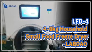 LFD4 46kg Household Small Food Freeze Dryer  LABOAO [upl. by Litnahc]