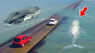 A Road You Never Want To Drive On France Le Passage du Gois [upl. by Lemmuela]