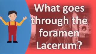 What goes through the foramen Lacerum   Better Health Channel [upl. by Hamlen]