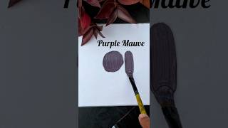 How to get purple mauve colour by acrylics  acrylic colour mixing for purple mauve purple mauve [upl. by Vasta812]