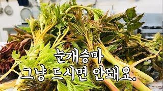 눈개승마 다듬기 고오급 나물 눈개승마 손질법 feat 화천군산림조합 [upl. by Nohsed566]