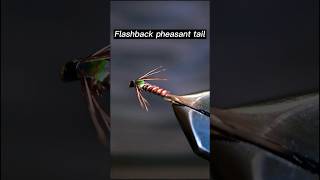 Fly Tying the Flashback Pheasant tail  Fly tying tutorial flytying flashbackpheasanttail fishing [upl. by Pirbhai302]