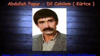 Abdullah Papur  Dil Cahilem  Kürtce [upl. by Adekahs]