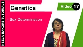 Genetics  Principles of Inheritance amp Variations  NEET  Sex Determination  Neela Bakore Tutorial [upl. by Atalie650]