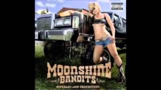 moonshine bandits arrest me [upl. by Avat]