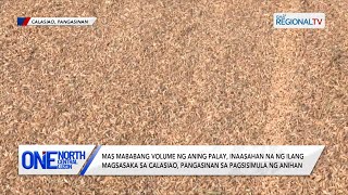 One North Central Luzon Mas mababang volume ng aning palay inaasahan na ng ilang magsasaka [upl. by Nosneh]