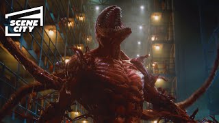 Venom Let There Be Carnage Prison Break HD MOVIE CLIP  With Captions [upl. by Bruno520]