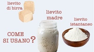 Lievito madre lievito di birra e lievito istantaneo come si usano [upl. by Atinaej]