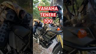 Yamaha Ténéré 700 World Raid novità 2023 [upl. by Cal248]