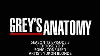 Greys Anatomy S12E03  Confused by Yukon Blonde [upl. by Hedelman]