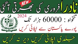 NADRA Jobs 2024  How to Apply  NADRA Jobs 2024 Apply Online [upl. by Maurili744]