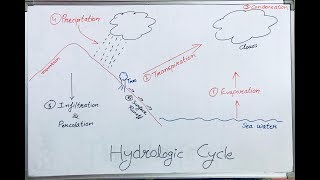 Hydrological Cycle Hindi Lecture I Water Cycle [upl. by Lleynad345]