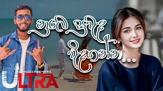 නුබෙ සුවඳ විඳගන්න  Numbe Suwada  Lunugamwehera Ultra 074 239 4040 [upl. by Yddor118]