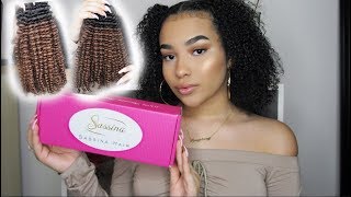 Ombre Kinky Curly ClipIn Hair Extensions Review  Sassina Hair [upl. by Fleisig]