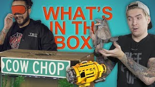 Whats in the box EXTREME challenge Ft Mika Salamanca [upl. by Travus]