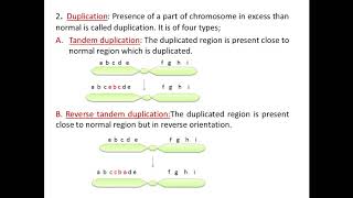 Structural changes in chromosomes [upl. by Ladnor723]