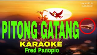 PITONG GATANG By Fred Panopio KARAOKE Version 5D Surround Sounds [upl. by Ariak983]