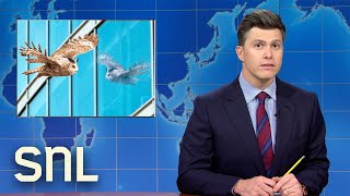 Weekend Update Flaco the Owl Dies KFC Launches Fried Chicken Pizza  SNL [upl. by Eeniffar]