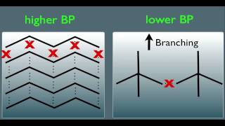 Intermolecular Forces and Physical Properties Part 1 Organic Chemistry [upl. by Brink767]