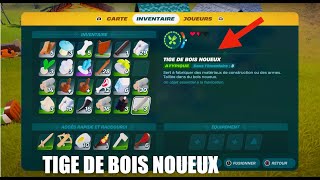 COMMENT OBTENIR TIGE DE BOIS NOUEUX DANS UN MONDE DE SURVIE LEGO FORTNITE [upl. by Arsi]