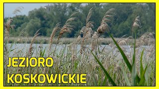 GRZYBIANY JEZIORO KOSKOWICKIE [upl. by Cherri]