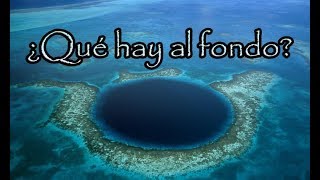 Revelan lo que Hay al FONDO del Gran Agujero Azul de Belice Y no es Nada Bueno [upl. by Nailimixam]