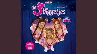 Carnaval musical De 3 Biggetjes [upl. by Aeet]