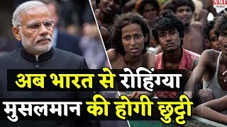 India में रह रहे Rohingya Muslims को बाहर का रास्ता दिखाएगी Modi Govt [upl. by Etac]