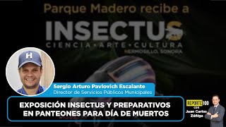 Exposición Insectus y preparativos en panteones para Día de Muertos  REPORTE 100 [upl. by Marty]